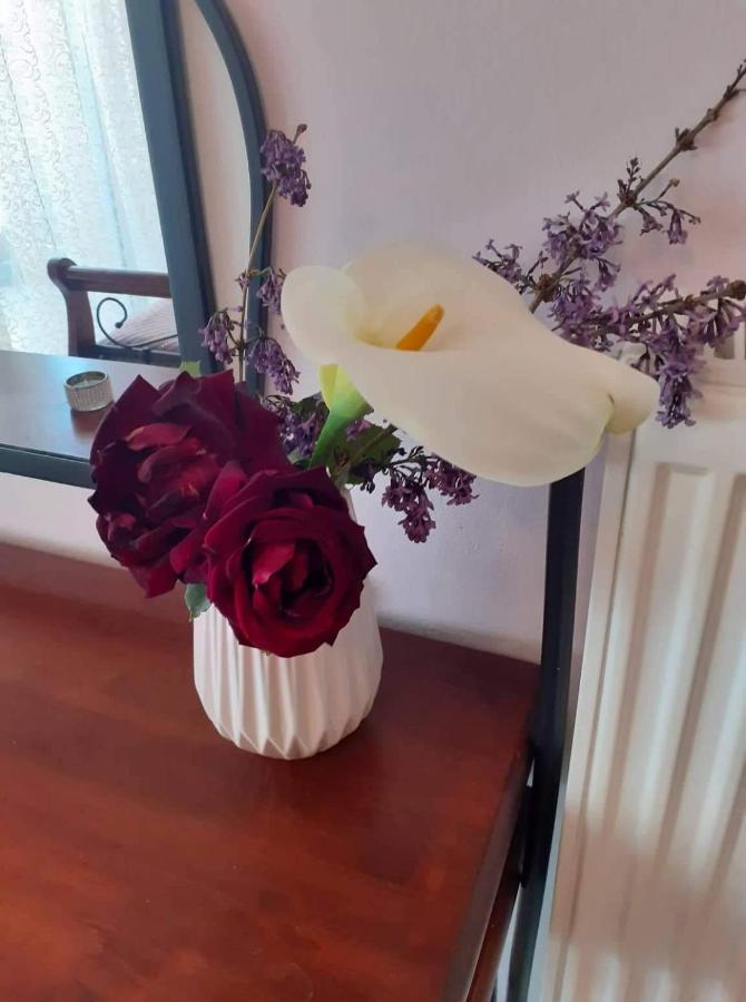 Old City Apartment Volos Luaran gambar